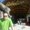 Photo of Shaun L.
