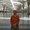 Photo of Hesham S.
