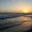 Photo of Sean L.