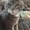 Photo of Rusty S.