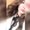Photo of Mayra C.