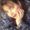 Photo of Josie R.