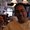 Photo of Brent M.