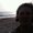 Photo of Fan Fan B.