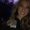 Photo of Jayme E.
