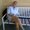 Photo of Cathie B.