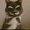 Photo of Miyabi H.