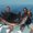 Photo of Cityvox User (matthi…)