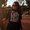 Photo of Nazila N.