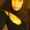 Photo of Angela B.