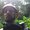 Photo of Jason G.