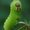Photo of Qype User (Anthon…)