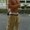 Photo of Josh D.