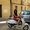 Photo of Mithila C.