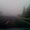 Photo of Binh N.