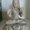 Photo of Gurudev R.
