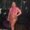 Photo of Anisha A.