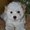 Photo of Traybay J.