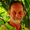 Photo of Mike G.