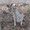 Photo of Qype User (Schneb…)