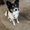 Photo of Bella J.