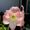 Photo of Marj S.