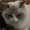 Photo of Pater K.