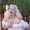 Photo of Lolita H.
