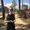 Photo of Erin S.