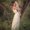 Photo of Breanne N.