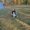 Photo of Edyn M.