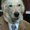 Photo of Damareon A.