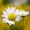 Photo of Qype User (dublin…)