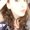 Photo of Meghan R.