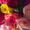 Photo of Tina X.