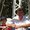Photo of Brian H.