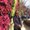 Photo of Stephany K.