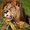Photo of Qype User (Behapp…)