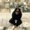 Photo of Jovana N.