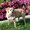 Photo of Danielle P.