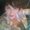 Photo of Wendi S.