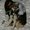 Photo of Cat F.