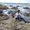 Photo of Sagar W.