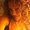 Photo of Angie V.