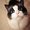Photo of Miao C.