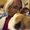 Photo of Anneli S.