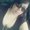 Photo of Michelle R.