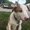 Photo of Kadie Jo M.