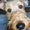Photo of Chuckd4sho G.