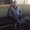 Photo of Marques S.